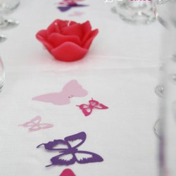confetti grand papillon fuchsia violet rose dragée